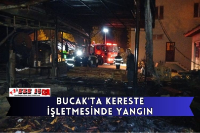 Bucak'ta Kereste İşletmesinde Yangın