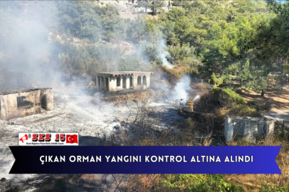 Çıkan Orman Yangını Kontrol Altına Alındı