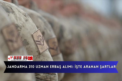 Jandarma 310 Uzman Erbaş Alımı: İşte Aranan Şartlar