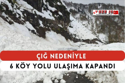 Çığ Nedeniyle 6 Köy Yolu Ulaşıma Kapandı