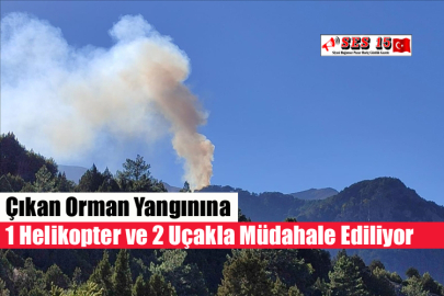 Çıkan Orman Yangınına 1 Helikopter Ve 2 Uçakla Müdahale Ediliyor