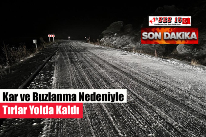 Kar ve Buzlanma Nedeniyle Tırlar Yolda Kaldı