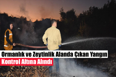 Ormanlık ve Zeytinlik Alanda Çıkan Yangın Kontrol Altına Alındı