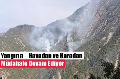 Yangına Havadan ve Karadan Müdahale Devam Ediyor