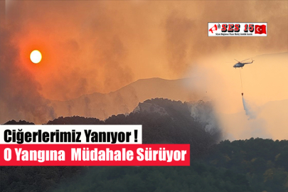 Ciğerlerimiz Yanıyor ! O Yangına  Müdahale Sürüyor