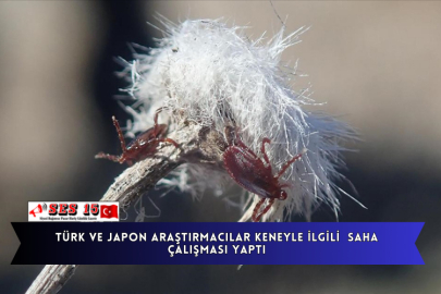 Türk Ve Japon Araştırmacılar Keneyle İlgili  Saha Çalışması Yaptı