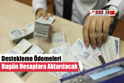 Destekleme Ödemeleri Bugün Hesaplara Aktarılacak