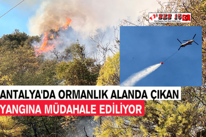 Antalya'da Ormanlık Alanda Çıkan Yangına Müdahale Ediliyor