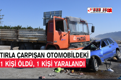 Tırla Çarpışan Otomobildeki 1 Kişi Öldü, 1 Kişi Yaralandı