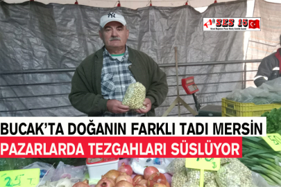 Bucak’ta Doğanın Farklı Tadı Mersin Pazarlarda Tezgahları Süslüyor