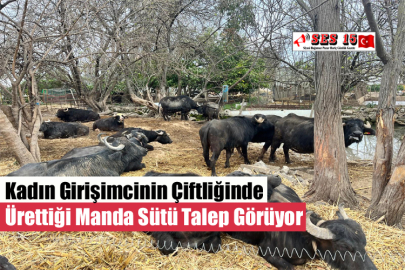 Kadın Girişimcinin Çiftliğinde Ürettiği Manda Sütü Talep Görüyor