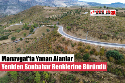 Manavgat'ta Yanan Alanlar Yeniden Sonbahar Renklerine Büründü