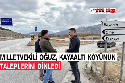 Milletvekili Oğuz, Kayaaltı Köyünün Taleplerini Dinledi