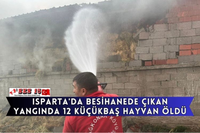 Isparta'da Besihanede Çıkan Yangında 12 Küçükbaş Hayvan Öldü