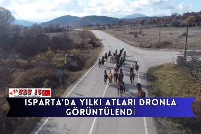 Isparta'da Yılkı Atları Dronla Görüntülendi