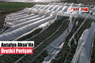 Antalya Aksu'da Üretici Perişan