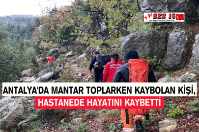 Antalya'da Mantar Toplarken Kaybolan Kişi, Hastanede Hayatını Kaybetti