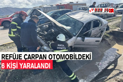 Refüje Çarpan Otomobildeki 6 Kişi Yaralandı