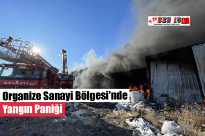 Organize Sanayi Bölgesi'nde Yangın Paniği