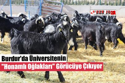 Burdur'da Üniversitenin 