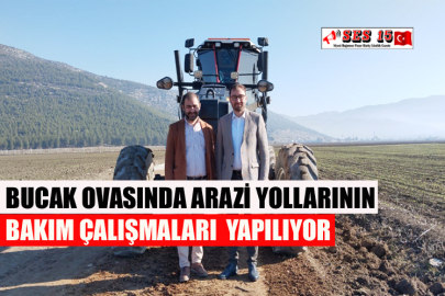 Bucak Ovasında Arazi Yollarının Bakım Çalışmaları Yapılıyor