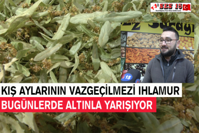 Kış Aylarının Vazgeçilmezi Ihlamur Bugünlerde Altınla Yarışıyor