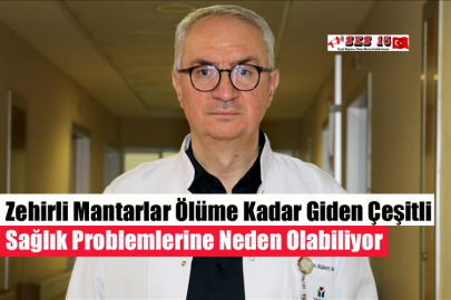 Zehirli Mantarlar Ölüme Kadar Giden Çeşitli Sağlık Problemlerine Neden Olabiliyor