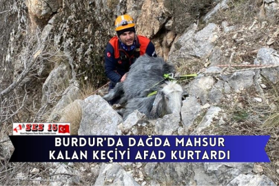 Burdur'da Dağda Mahsur Kalan Keçiyi AFAD Kurtardı