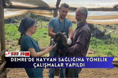 Demre'de Hayvan Sağlığına Yönelik Çalışmalar Yapıldı