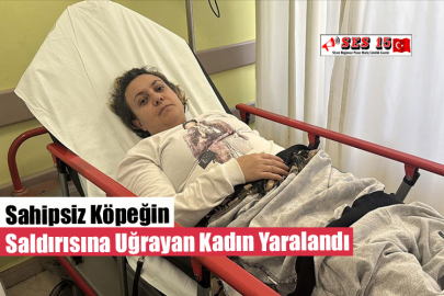 Sahipsiz Köpeğin Saldırısına Uğrayan Kadın Yaralandı