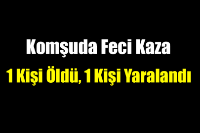 Komşuda Feci Kaza 1 Kişi Öldü, 1 Kişi Yaralandı