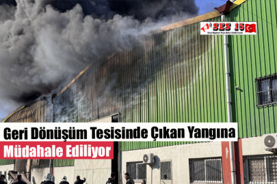 Geri Dönüşüm Tesisinde Çıkan Yangına Müdahale Ediliyor