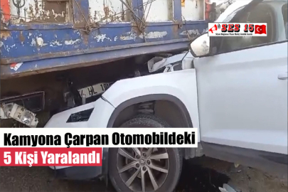 Kamyona Çarpan Otomobildeki 5 Kişi Yaralandı