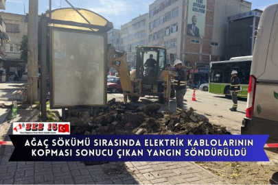 Ağaç Sökümü Sırasında Elektrik Kablolarının Kopması Sonucu Çıkan Yangın Söndürüldü