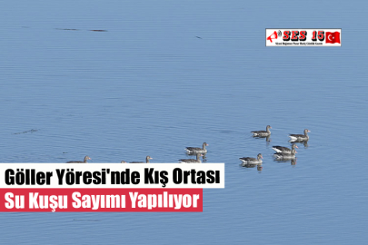 Göller Yöresi'nde Kış Ortası Su Kuşu Sayımı Yapılıyor