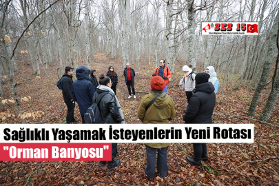 Sağlıklı Yaşamak İsteyenlerin Yeni Rotası "Orman Banyosu"