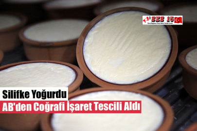 Silifke Yoğurdu AB'den Coğrafi İşaret Tescili Aldı