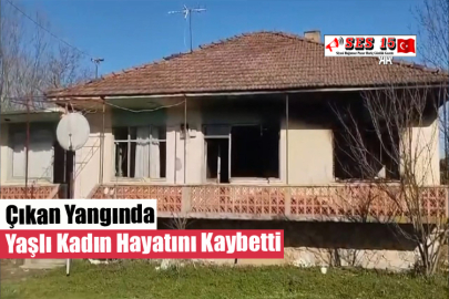 Çıkan Yangında Yaşlı Kadın Hayatını Kaybetti