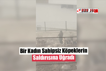 Bir Kadın Sahipsiz Köpeklerin Saldırısına Uğradı