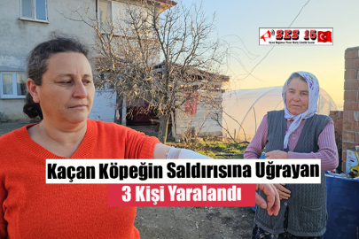  Kaçan Köpeğin Saldırısına Uğrayan 3 Kişi Yaralandı