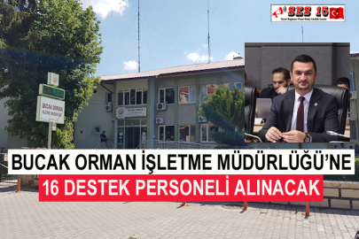 Bucak Orman İşletme Müdürlüğü’ne 16 Destek Personeli Alınacak