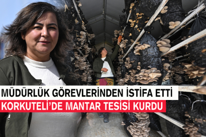 Müdürlük Görevlerinden İstifa Etti; Korkuteli’de Mantar Tesisi Kurdu